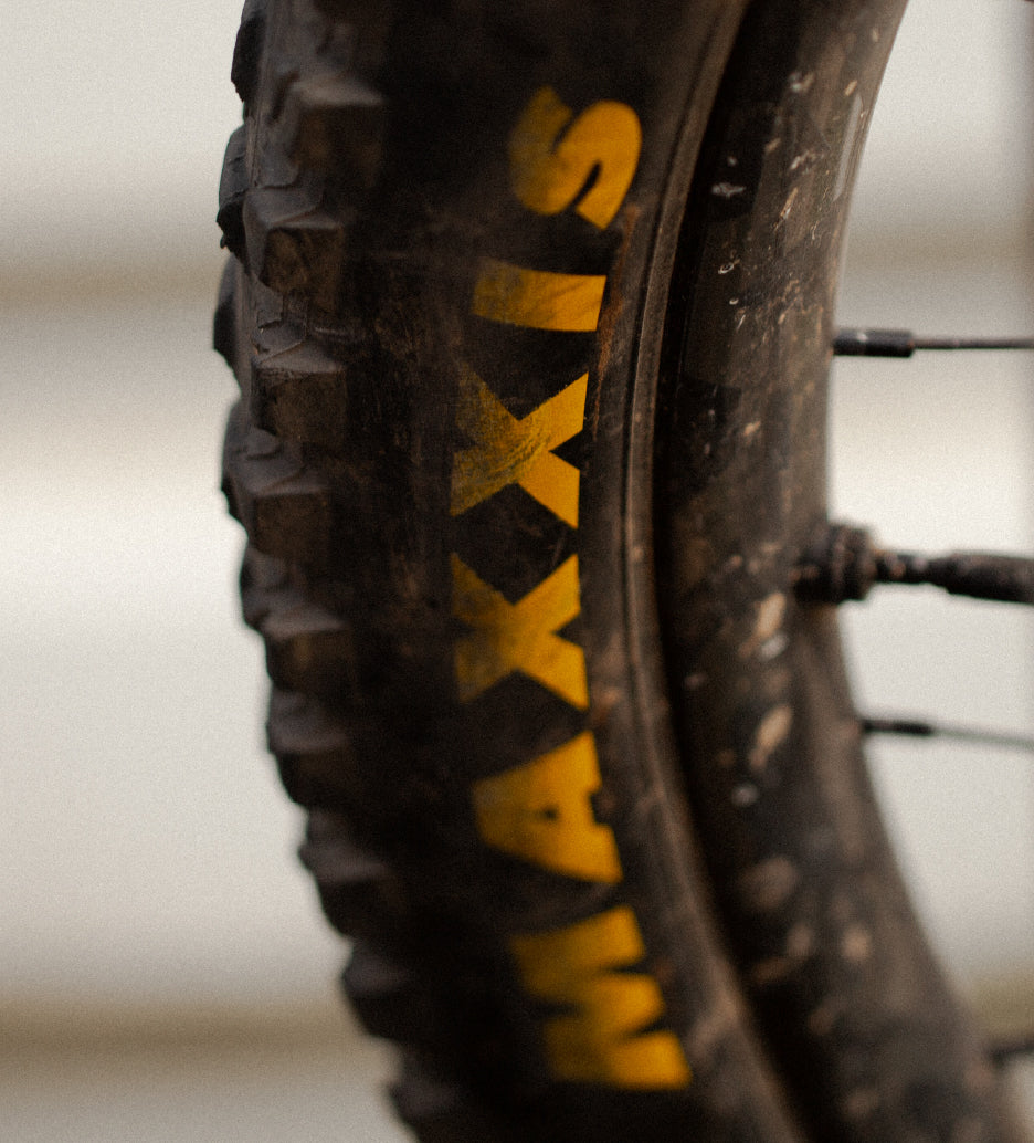 Quels pneus vélo électrique Maxxis choisir ?