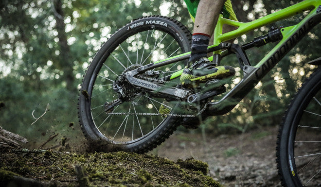 Vittoria: nouveaux pneus VTT Trail et enduro Agarro et Mazza