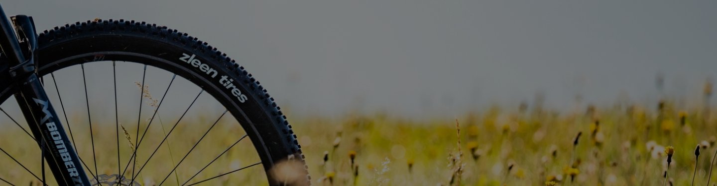 Pneus vélo Zleen