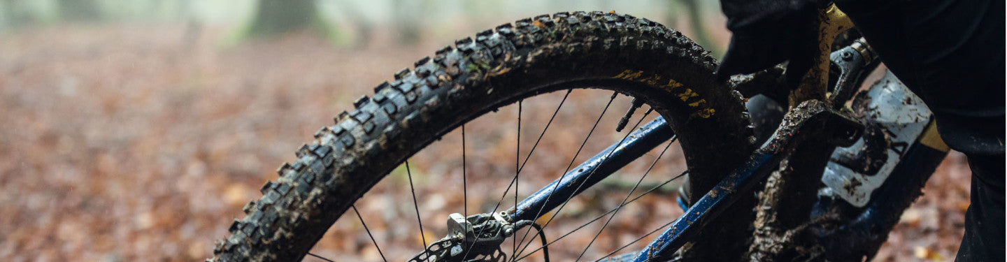 Pneus VTT DH et Enduro Maxxis Dissector