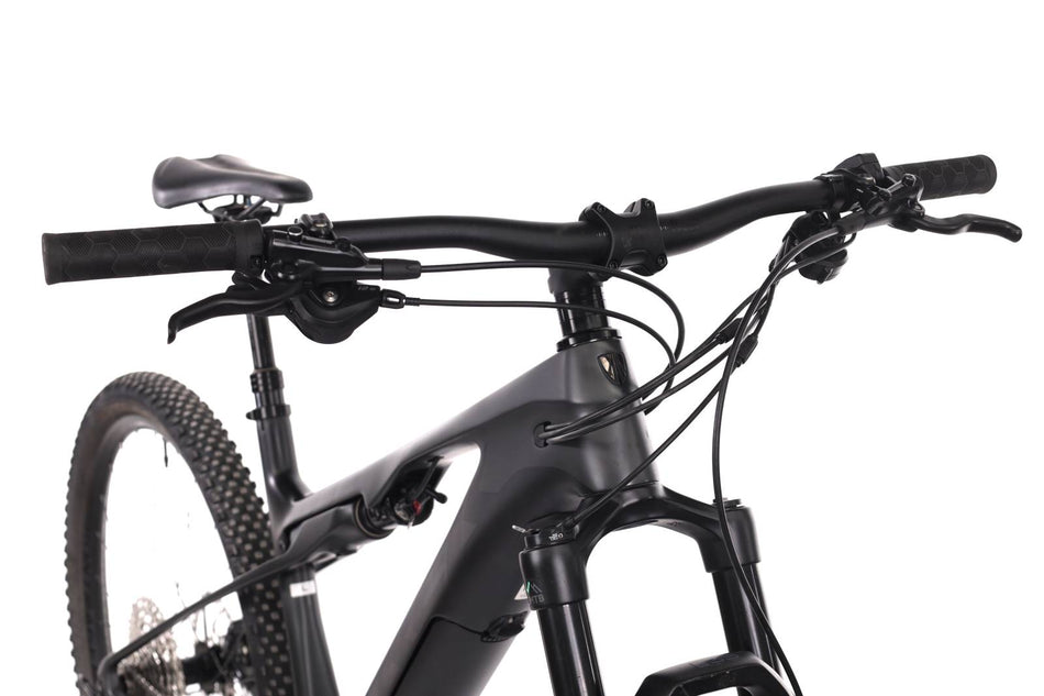 Trek E-Caliber 9.6