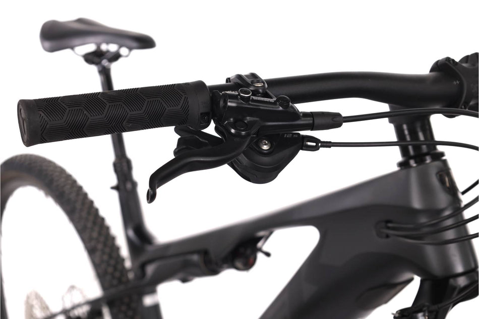 Trek E-Caliber 9.6