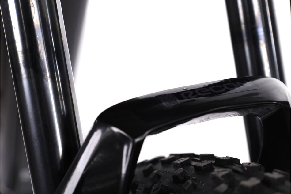 Trek Powerfly 5
