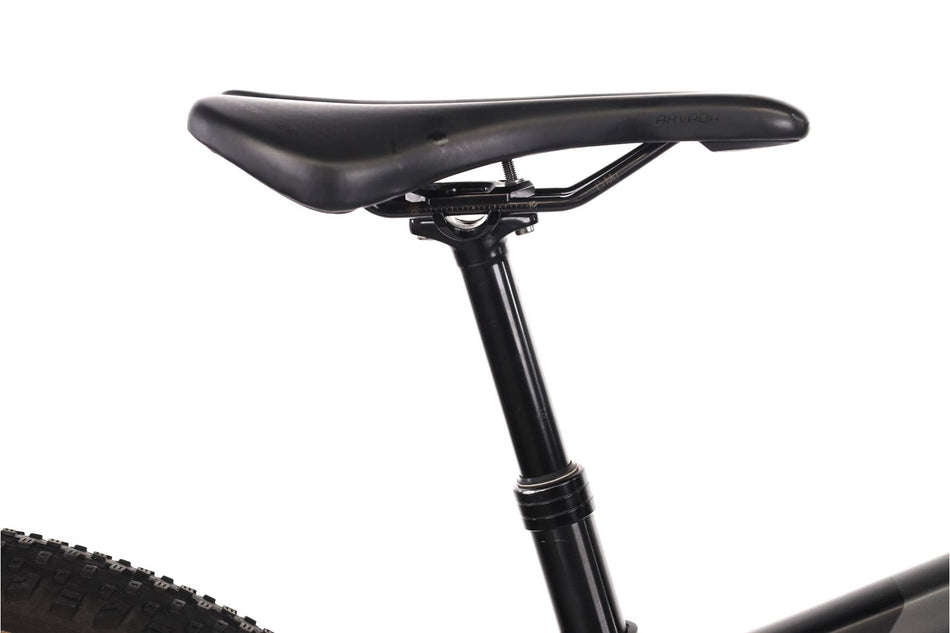 Trek E-Caliber 9.6