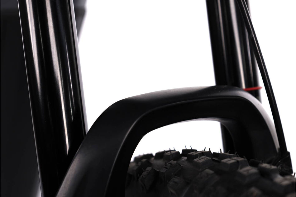 Haibike AllMtn 4 - EMTB