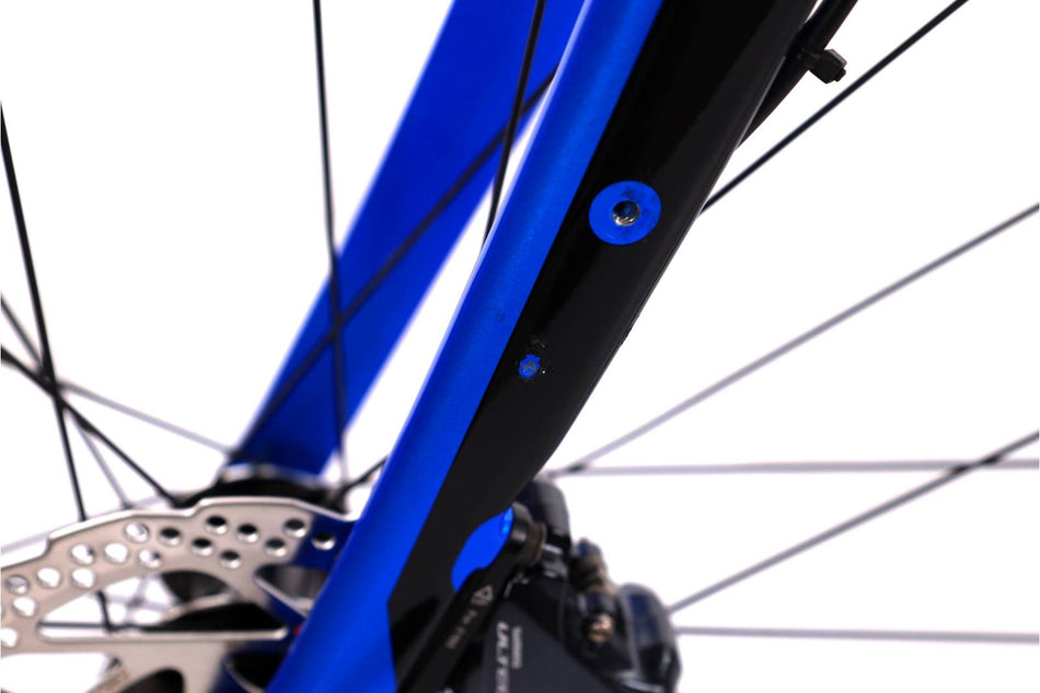 Giant Road E+  Pro 1