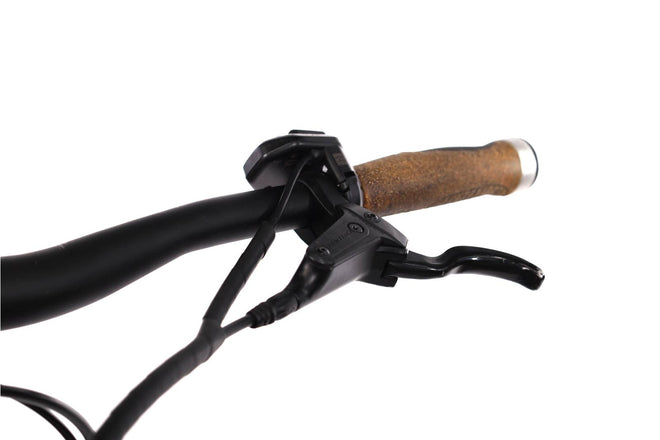 Giant Exploro E+4 - EMTB