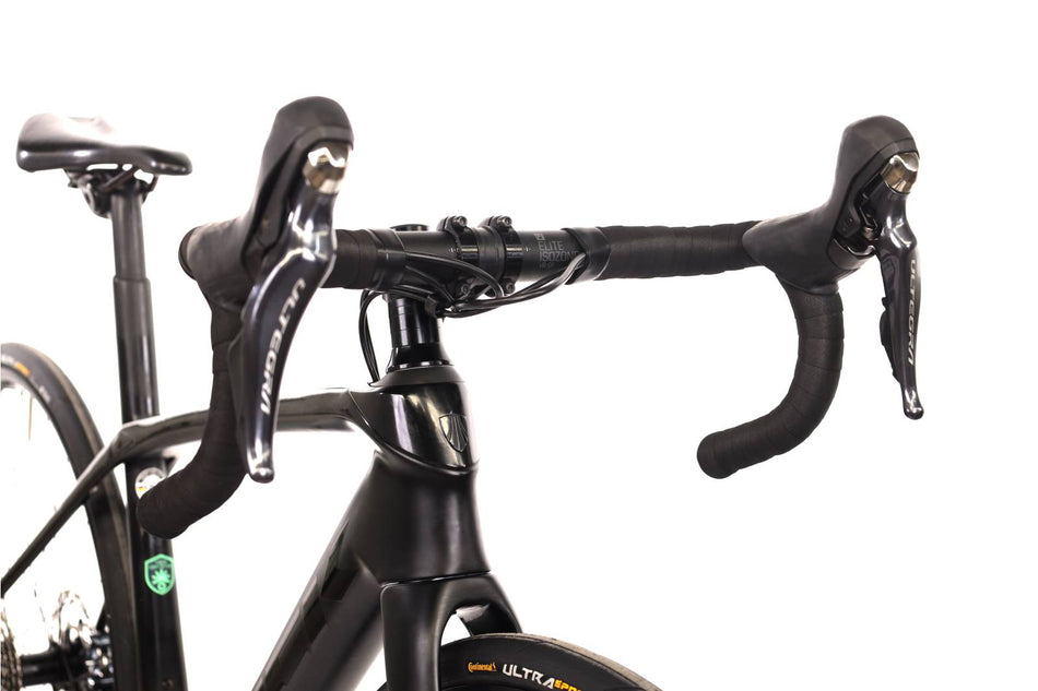 Trek Domane SL6