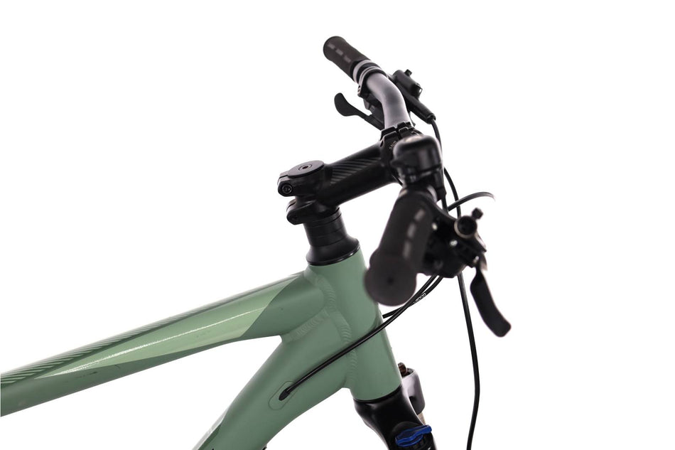 Focus Whistler 3.8