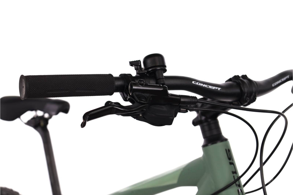Focus Whistler 3.8