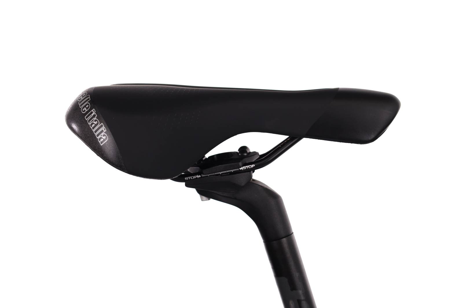 Focus Whistler 3.8