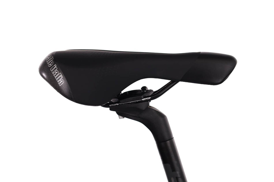 Focus Whistler 3.8