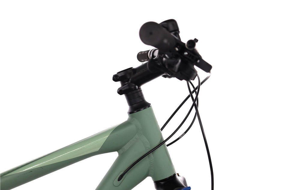 Focus Whistler 3.8