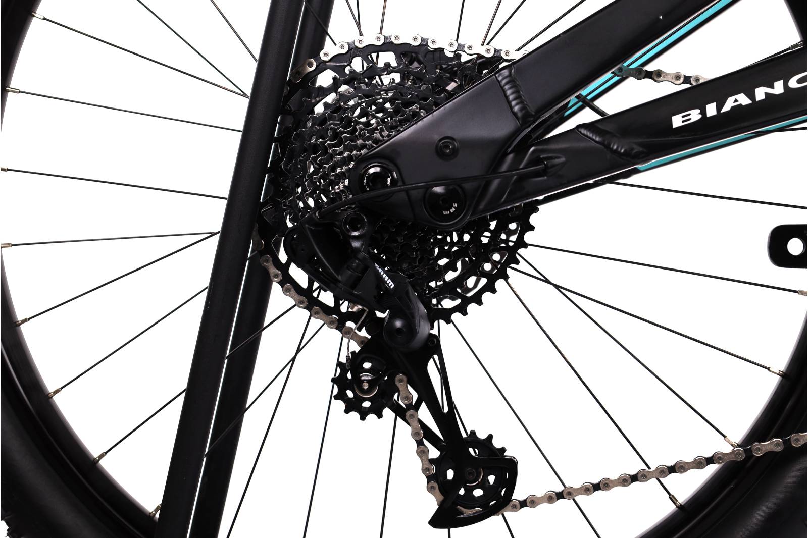 Bianchi E-Vertic  Fx Type