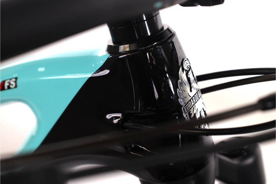 Bianchi Methanol CV FS 9.3