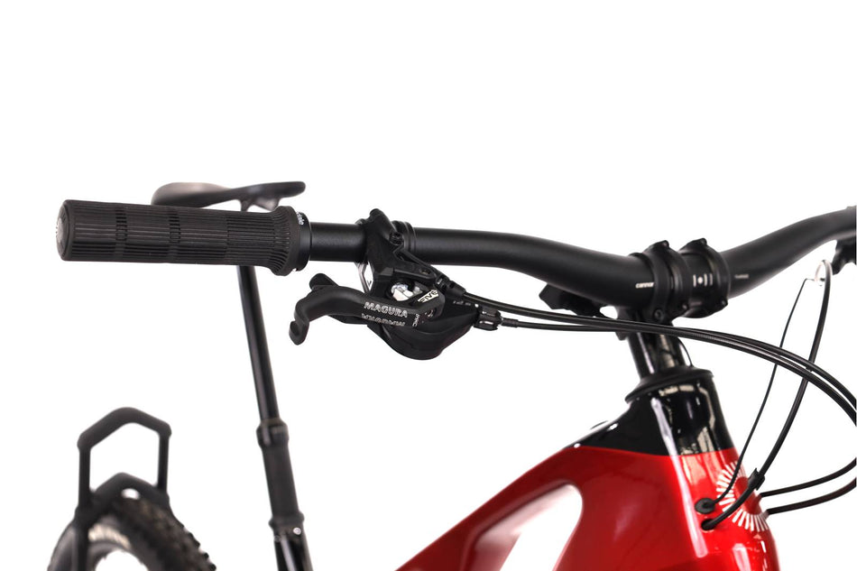 Cannondale Moterra SL 2