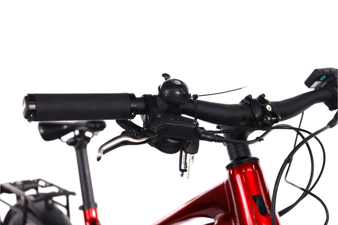 Liv Tempt E+ EX - EMTB