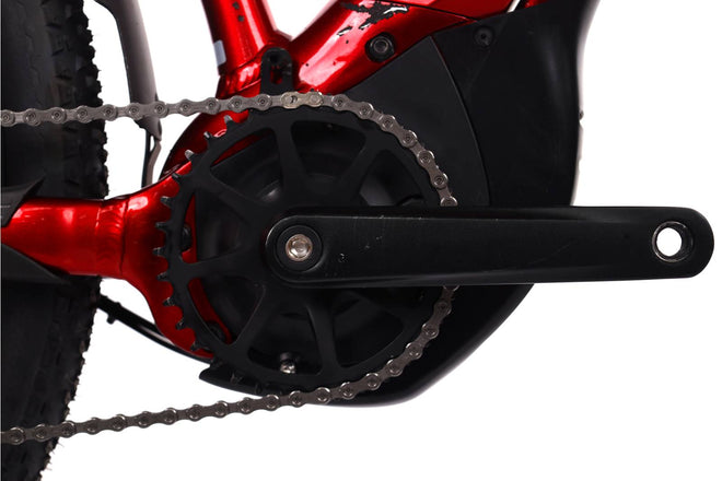 Liv Tempt E+ EX - EMTB