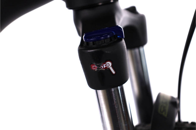 Raymon  HardRay  E 2.0 - EMTB