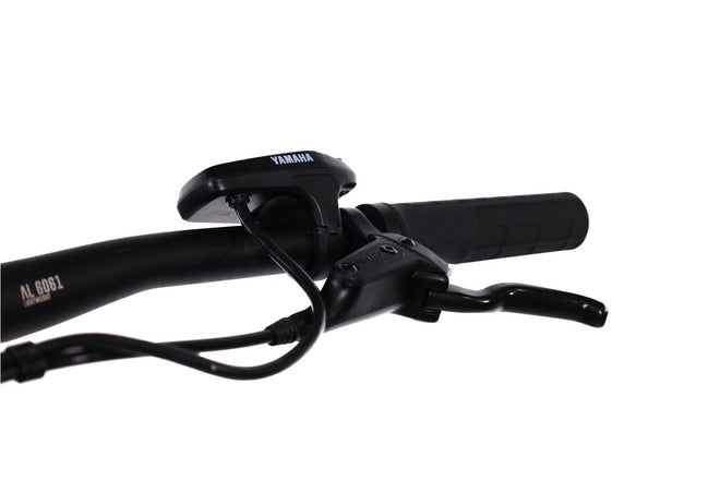 Raymon  HardRay  E 2.0 - EMTB