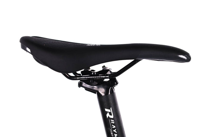 Raymon  HardRay  E 2.0 - EMTB