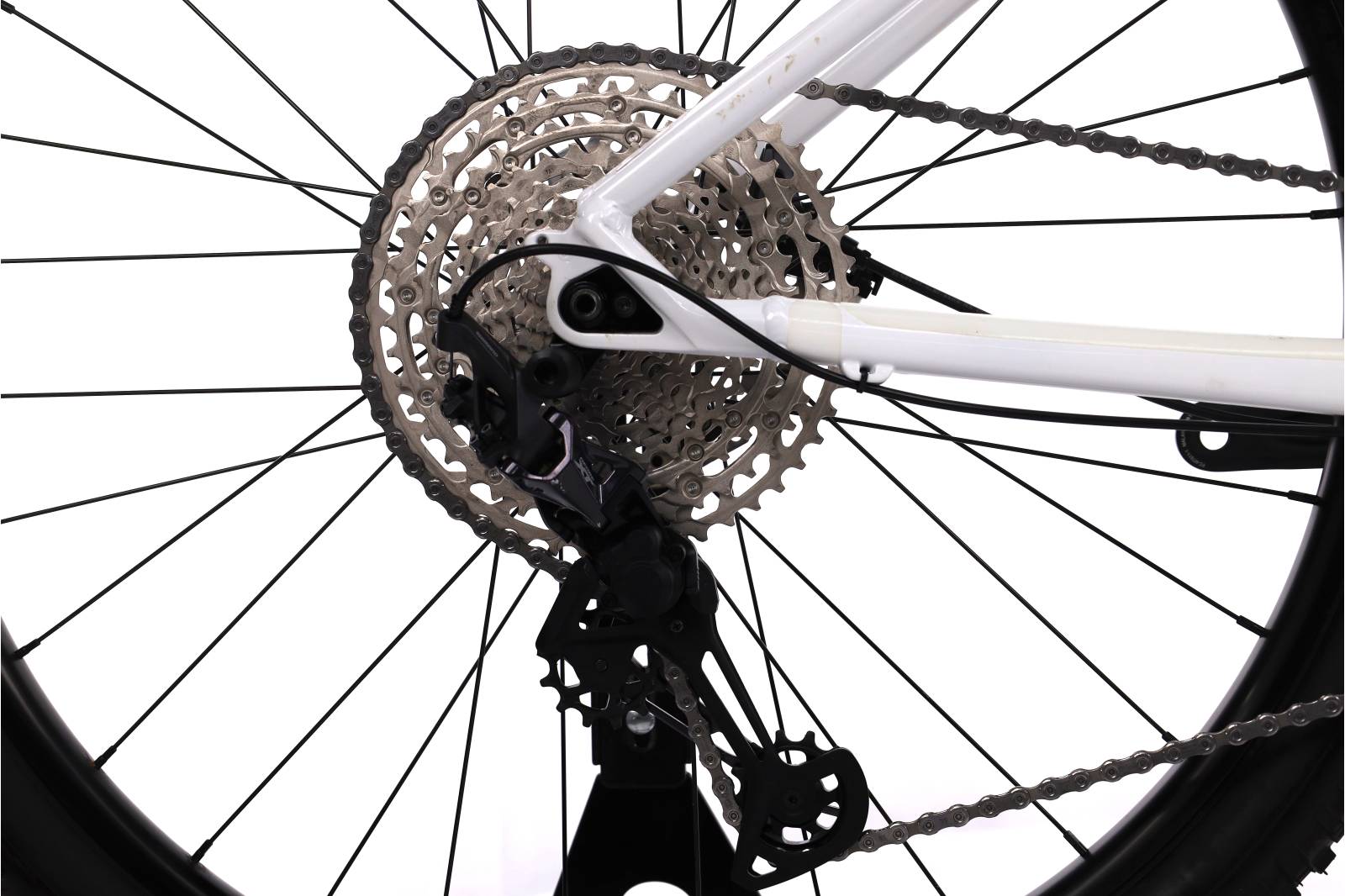 Canyon Grand Canyon WMN 8