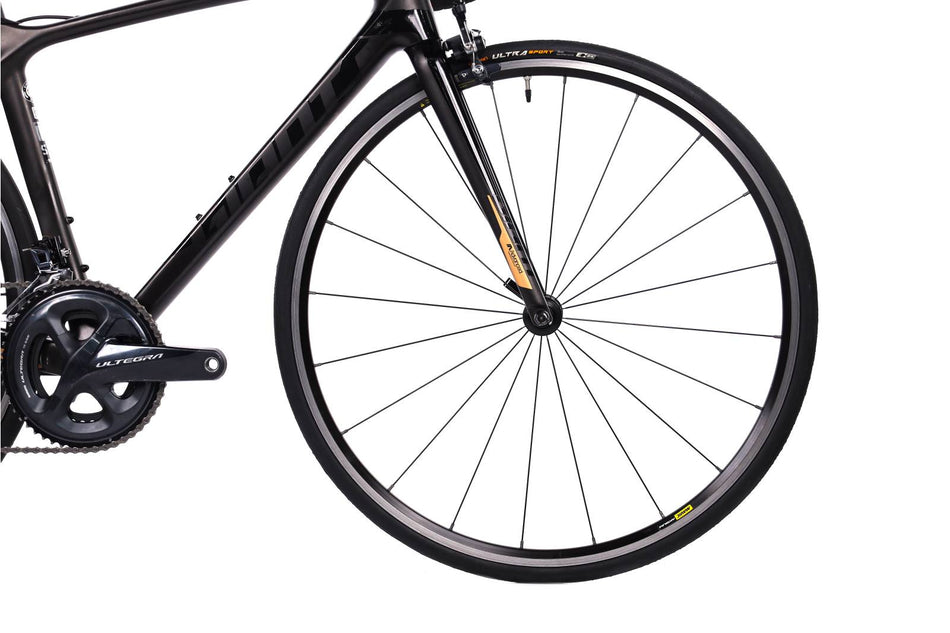 Giant TCR Advanced 1