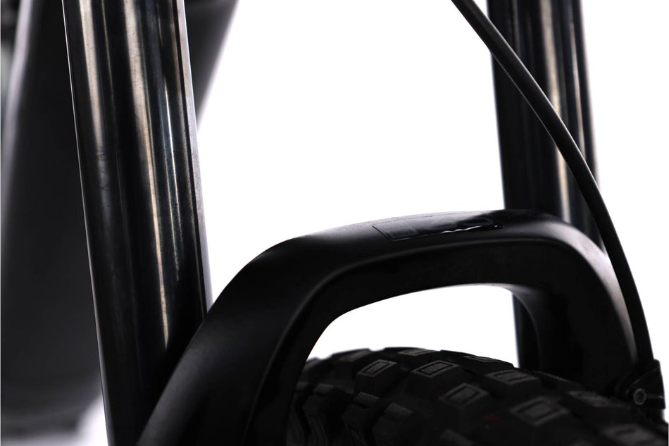 Cannondale Moterra Neo 4