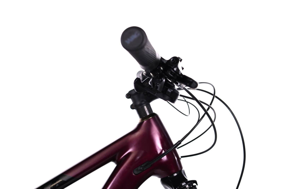 Orbea Rise H30 - EMTB