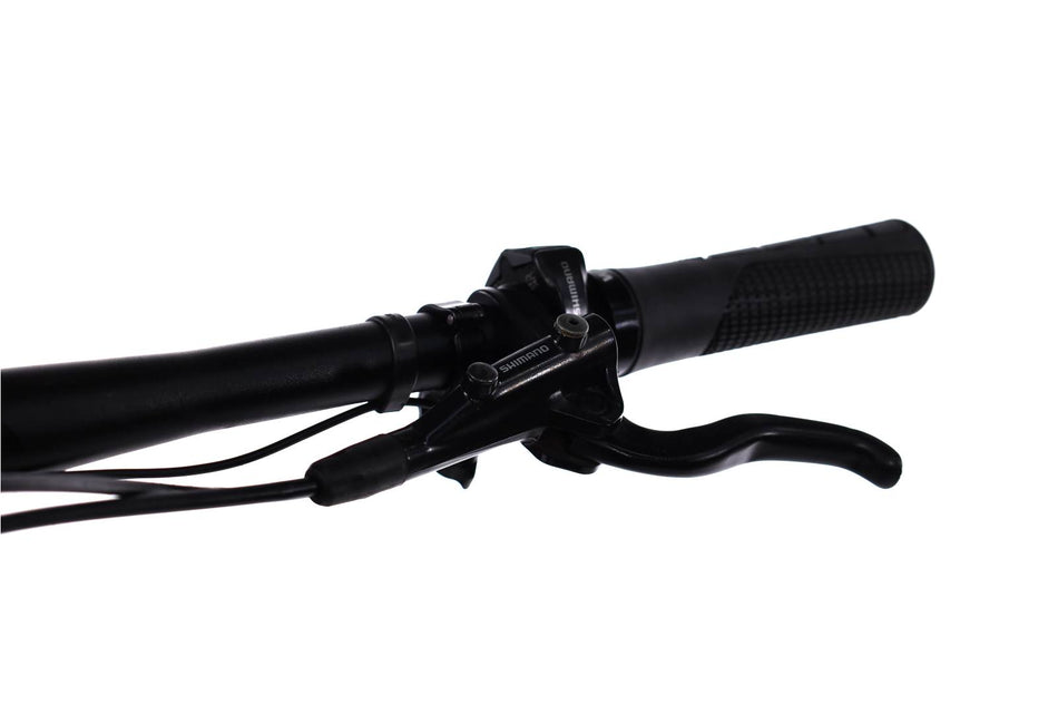 Orbea Rise H30 - EMTB