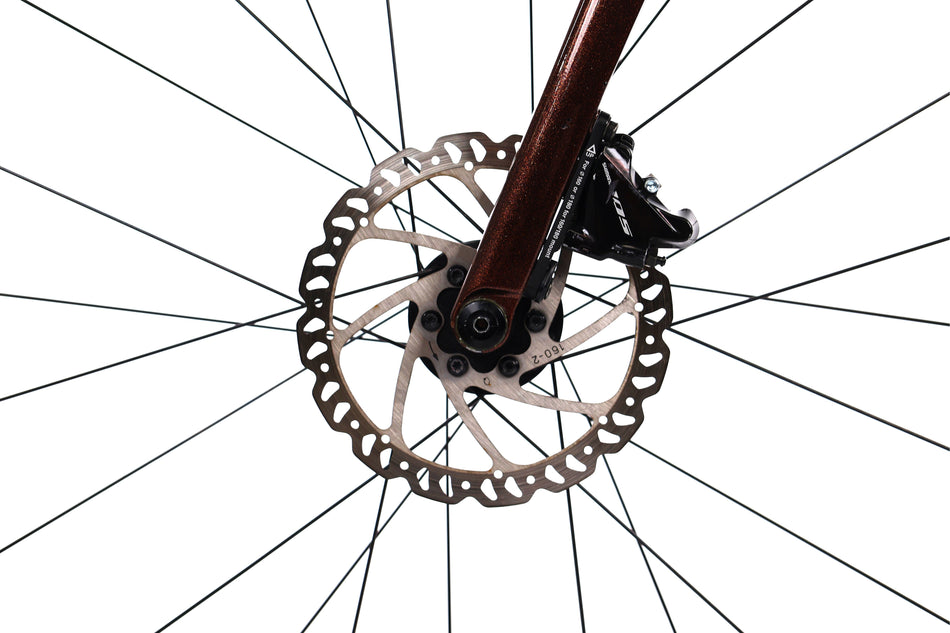 Giant TCR Advanced 2 - Bici da corsa