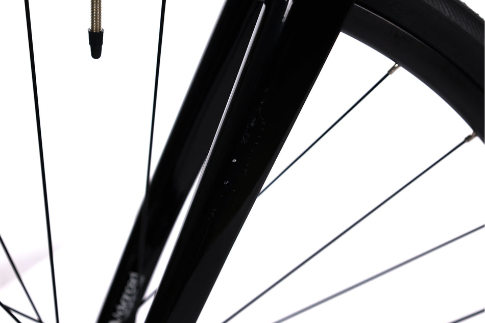 Giant TCR Advanced PRO 0 Disc - Bici da corsa