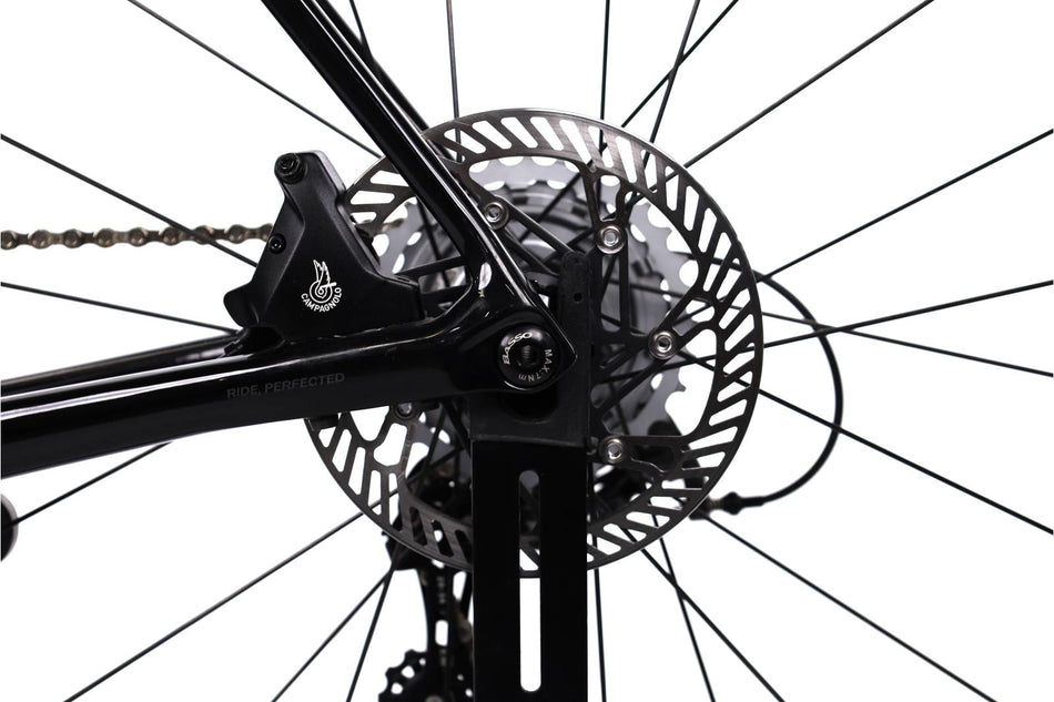 Basso Venta Disc Campagnolo - Bici da corsa