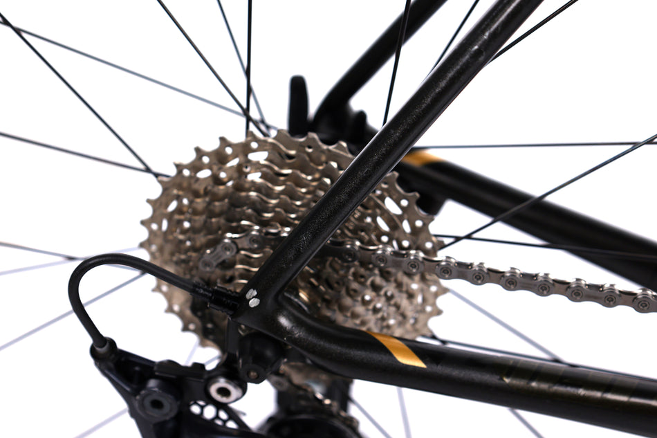 Giant TCR Advanced 1 - Bici da corsa