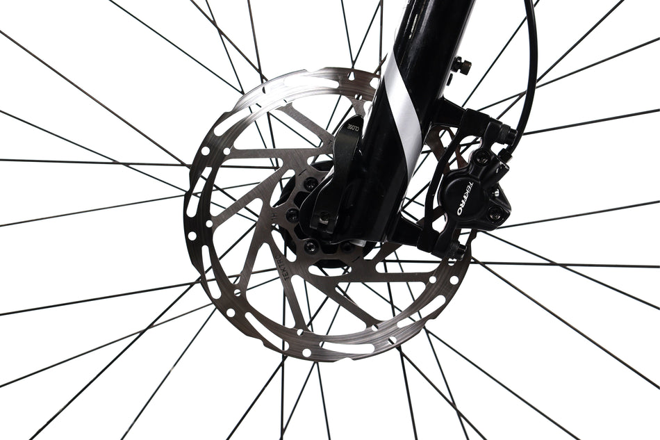 Bulls Copperhead EVO 1 - EMTB