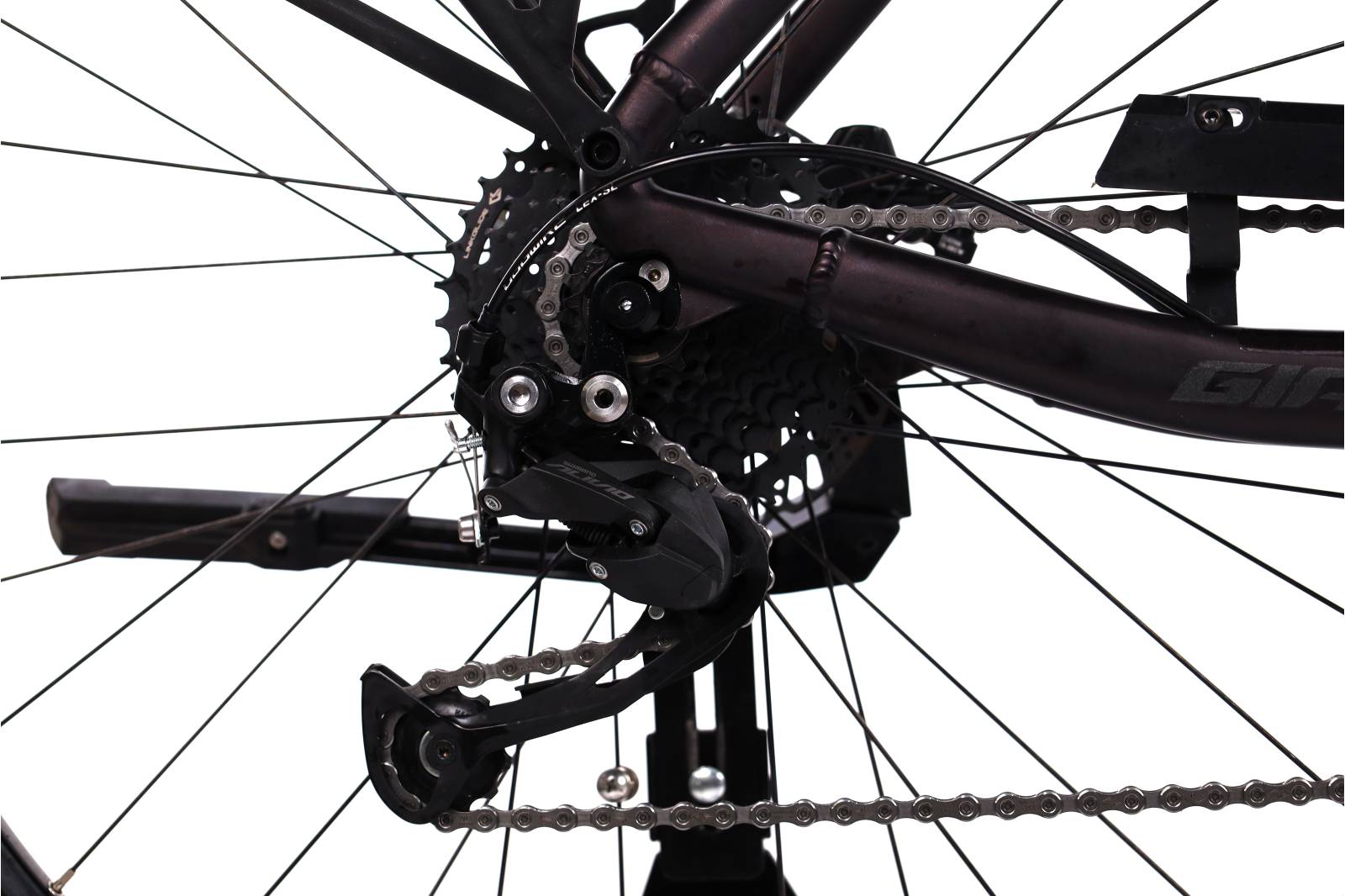 Giant Dailytour  E+R