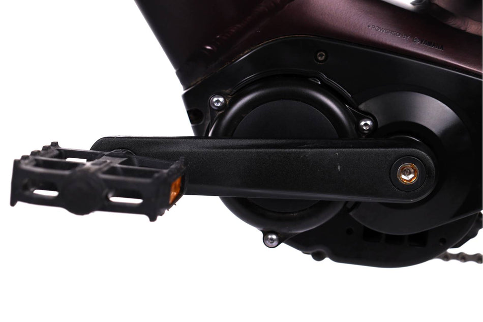 Giant Dailytour  E+3