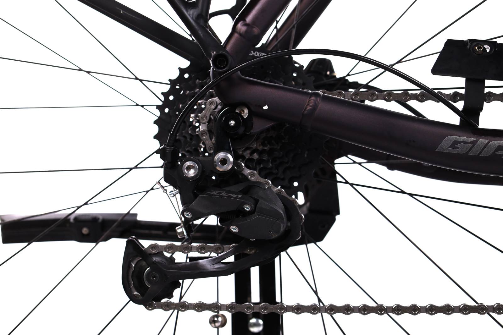 Giant Dailytour  E+3