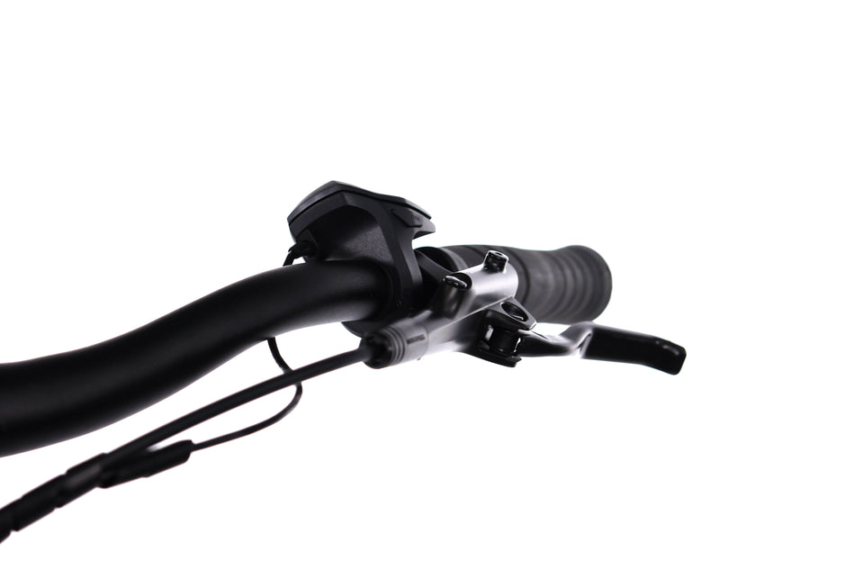 Carver Cityzen E.410 FL - EMTB