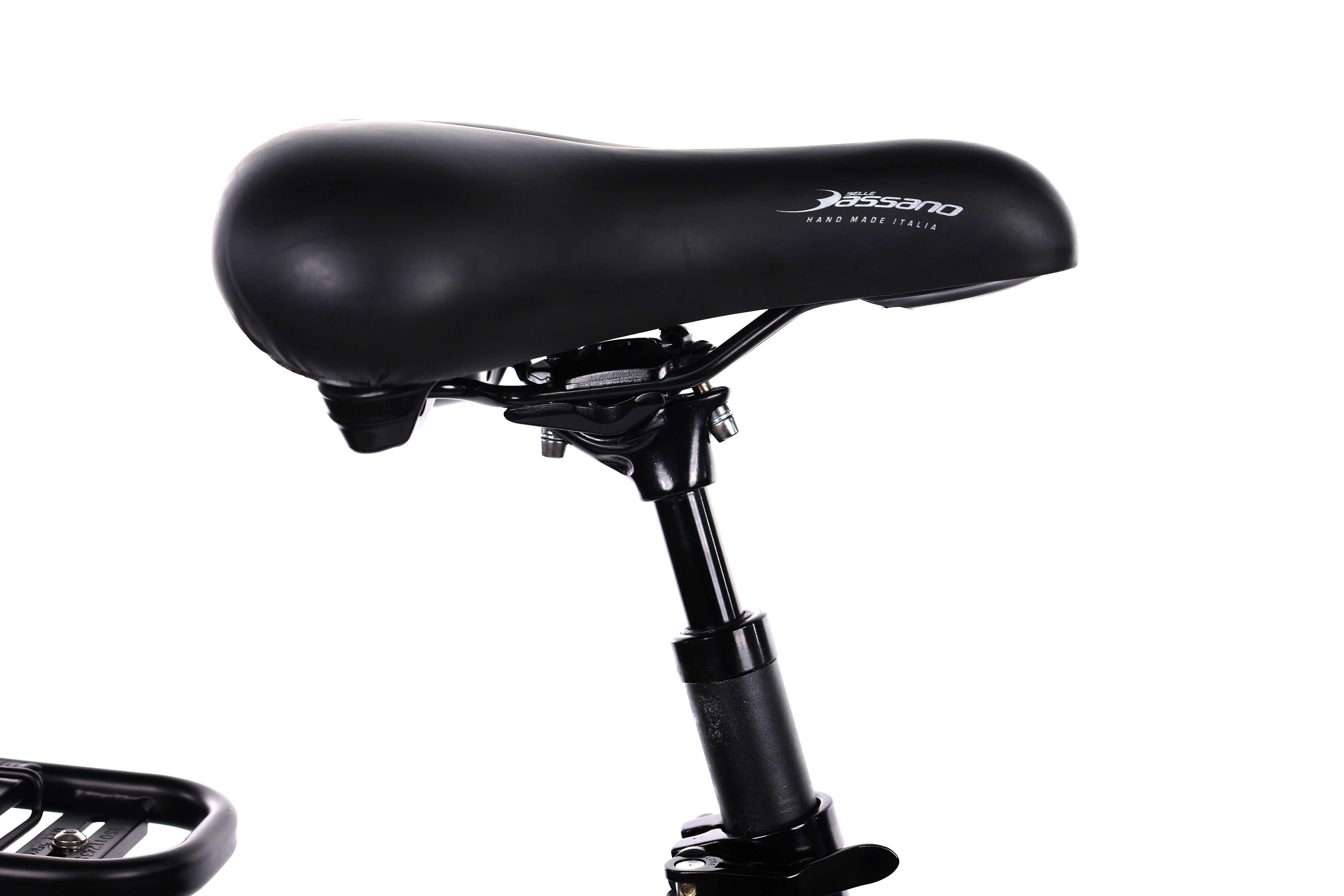 Carver Cityzen E.410 FL - EMTB