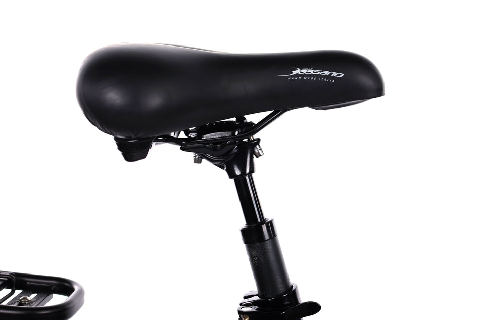 Carver Cityzen E.410 FL - EMTB