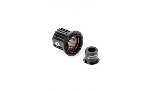 Corpo di Ruota Libera DT Swiss ratchet Shimano 12 velocità