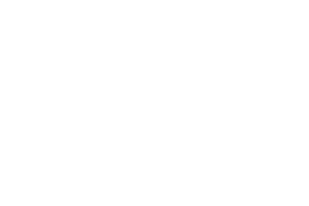 Double Defense Corsa