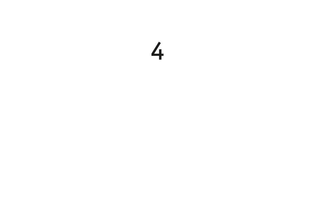 Schwalbe Protection Livello 4