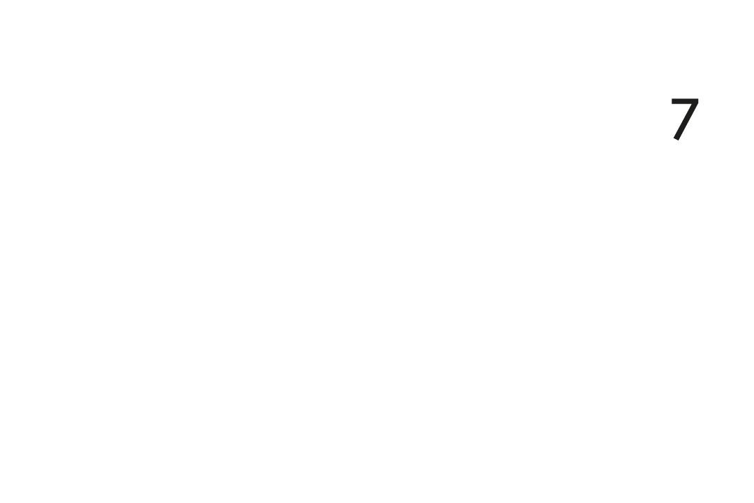 Schwalbe Protection Niveau 7