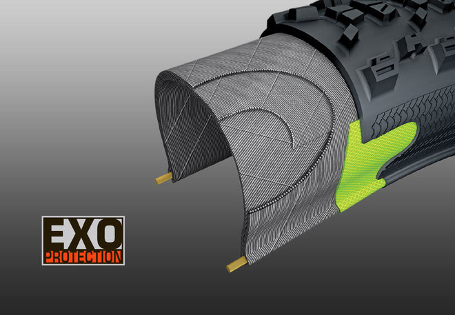 Carcasse Maxxis Exo Protection