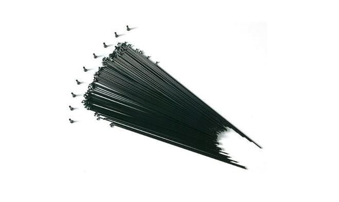 Lot de 10 Rayons Gurpil - 298 x 2