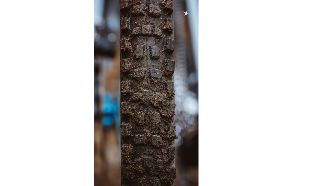 Pneu Schwalbe Romy Radial - Gravity Pro -  Soft - Tubeless Ready