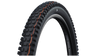 Pneu Schwalbe Albert Trail Pro Radial Addix Soft TLR