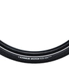 Pneu Schwalbe Motion Big Apple 20
